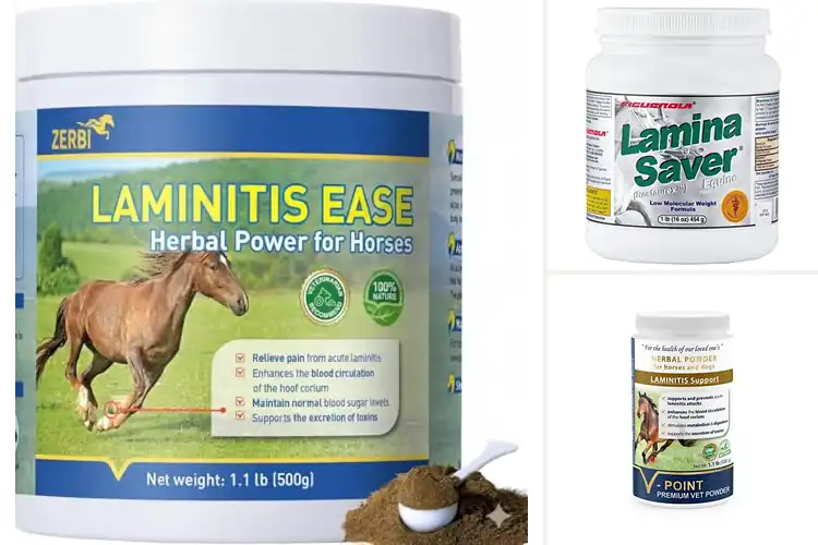 Detailed view of Best Horse Laminitis Supplements