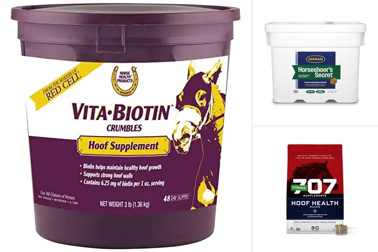 Detailed view of Best Horse Supplements For Hooves