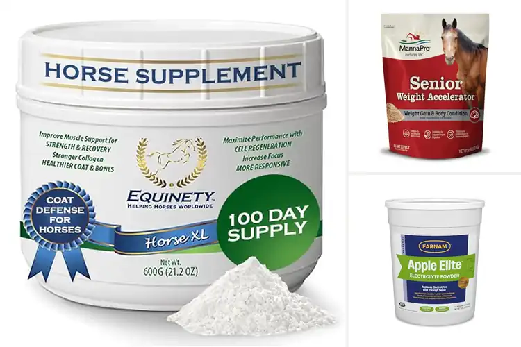 Detailed view of Best Horse Supplements for Healthy Joints, Hooves & Muscles
