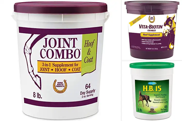 Detailed view of Best Horseshoe Skin Support Hoof Supplements
