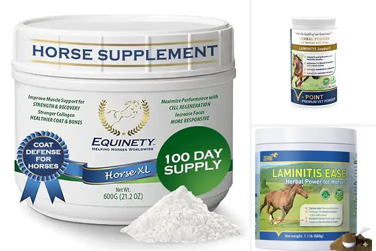 Detailed view of Best Hypoallergenic Hoof Supplements For Horses