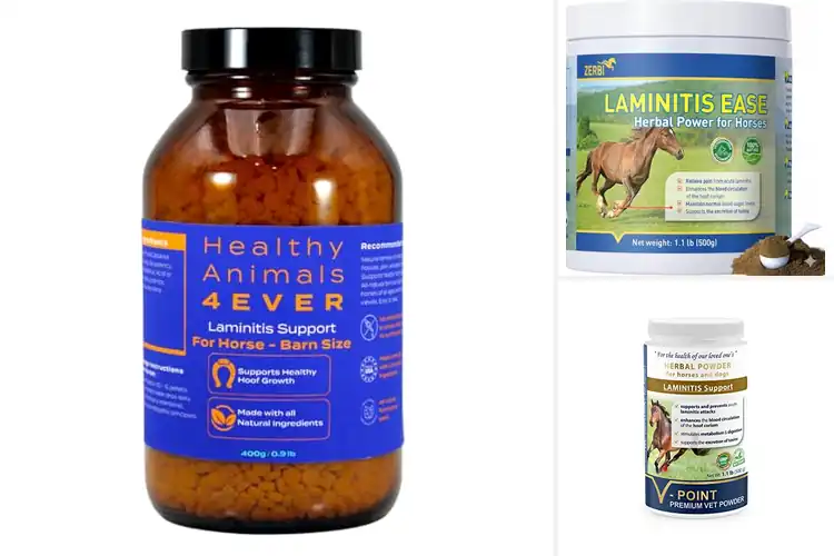 Detailed view of Best Laminitis First Aid Hoof Supplements