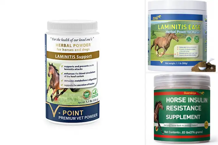 Detailed view of Best Laminitis Hoof Supplements For Horses
