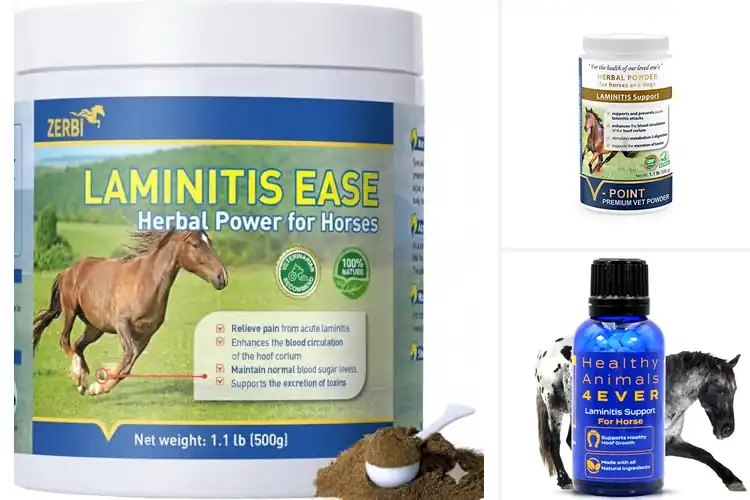 Detailed view of Best Laminitis Hoof Supplements