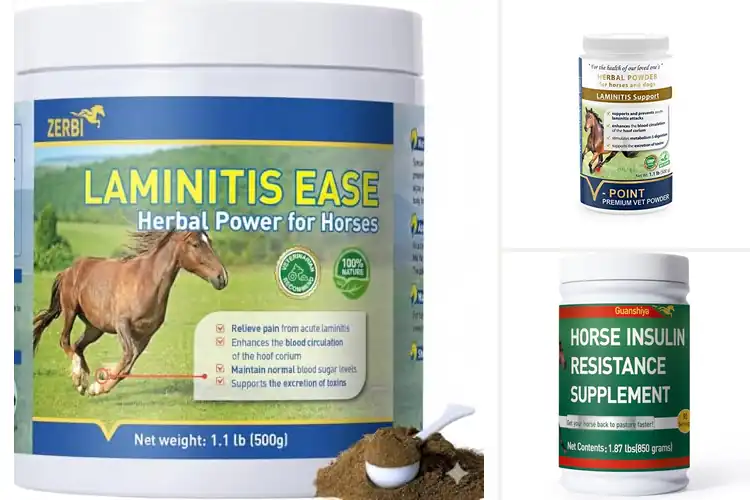 Detailed view of Best Laminitis Prevention Supplements For Horses