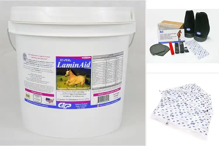 Detailed view of Best Laminitis Products for Horse Comfort