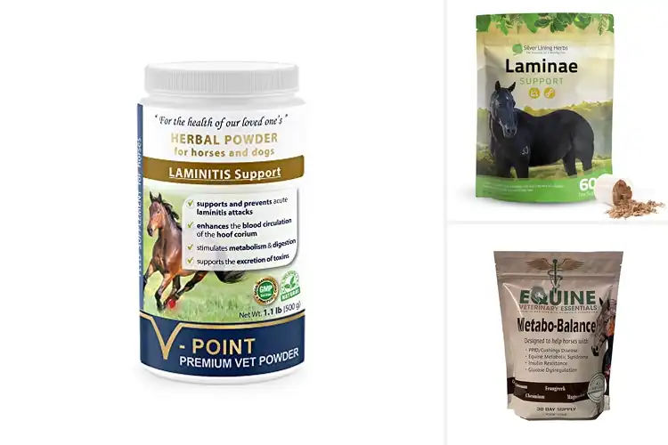 Detailed view of Best Laminitis Supplements for Horses