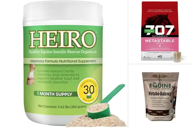 Detailed view of Best Laminitis Supplements for Horse Health & Comfort