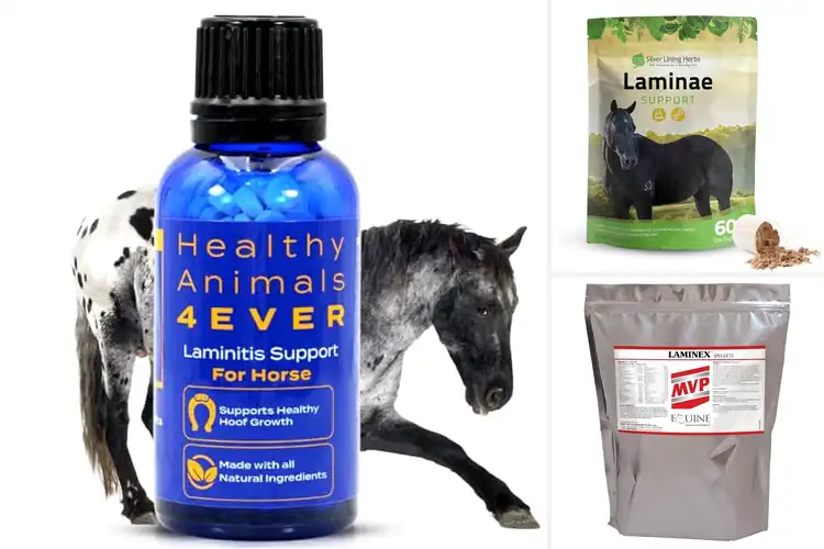 Detailed view of Best Laminitis Support For Hooves