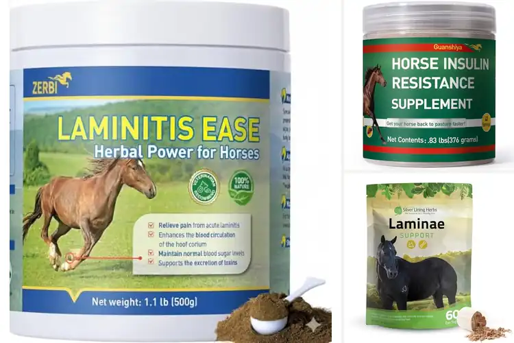 Detailed view of Best Laminitis Support Herbal Powder For Hooves