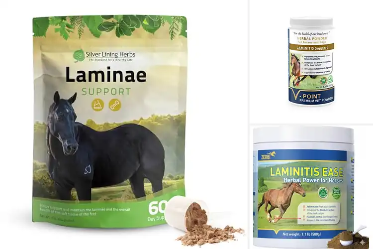 Detailed view of Best Laminitis Support Herbs: Free Your Horse