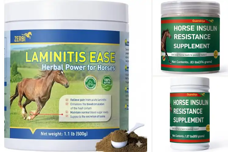 Detailed view of Best Laminitis Treatments: Happy Hooves Ahead