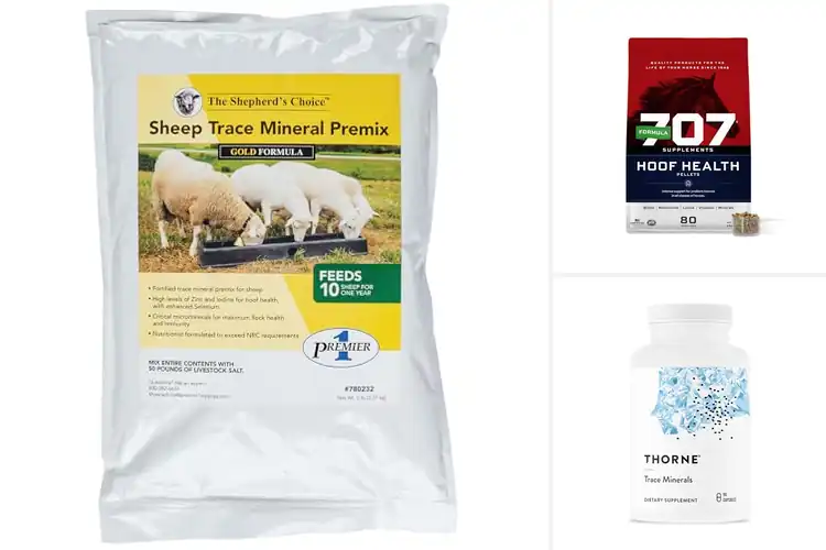 Detailed view of Best Mineral And Trace Element Hoof Supplements