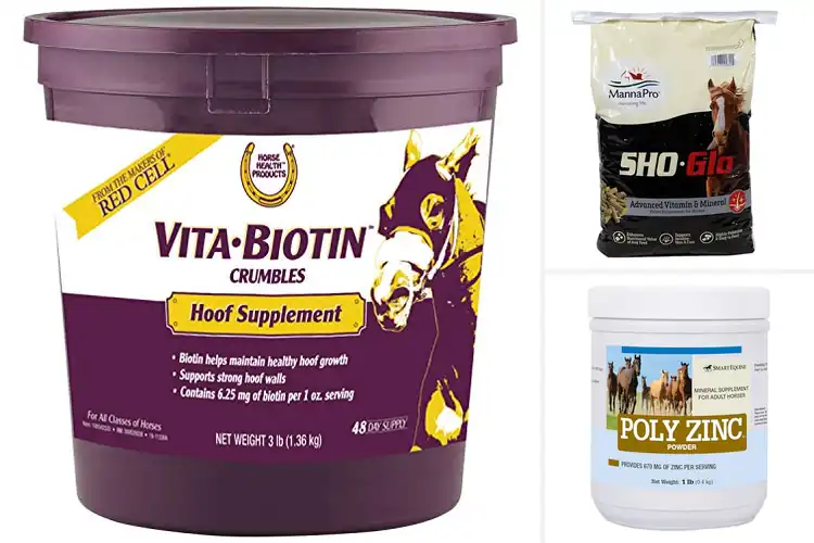 Detailed view of Best Mineral And Vitamin Hoof Supplements