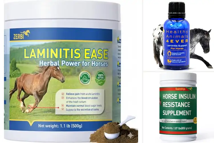 Detailed view of Best Natural Antioxidant Hoof Support For Laminitis