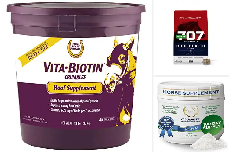 Detailed view of Best Natural Equine Supplements for Hooves