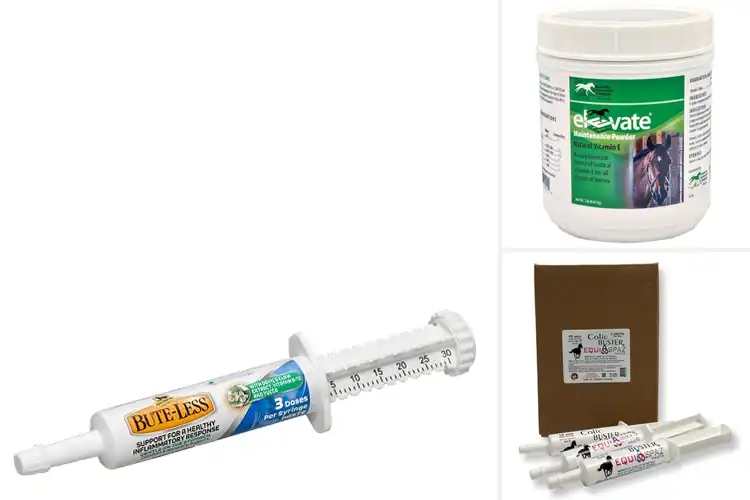 Detailed view of Best Natural First Aid Supplements for Horses