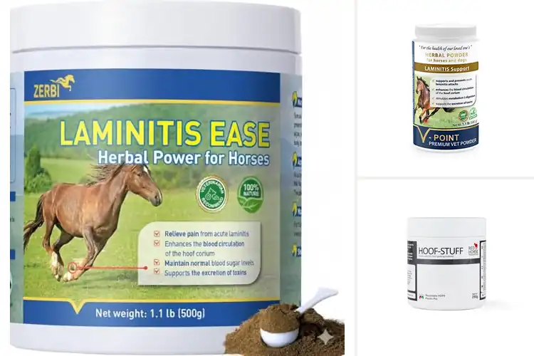 Detailed view of Best Natural Herbal Hoof Powder For Horses