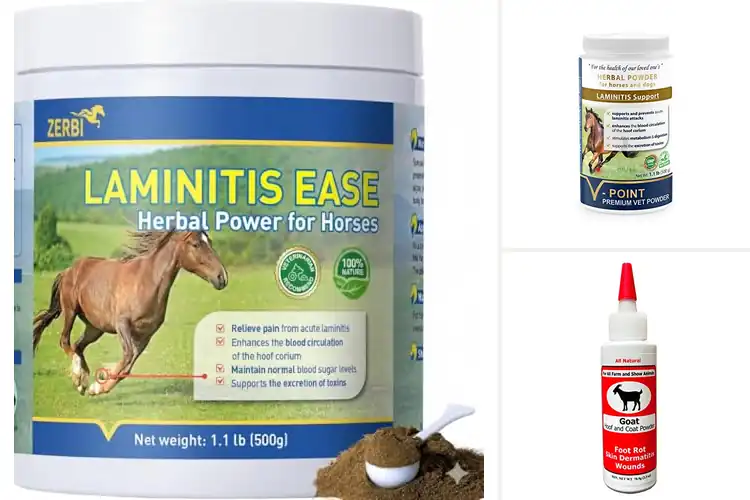 Detailed view of Best Natural Herbal Hoof Powder Supplements