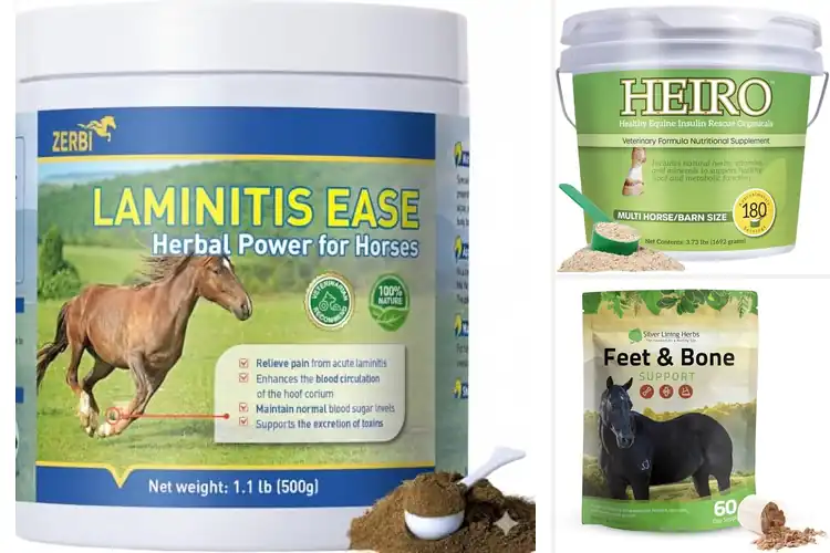 Detailed view of Best Natural Herbal Hoof Supplements