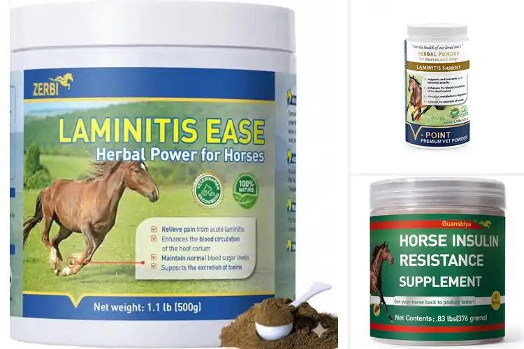 Detailed view of Best Natural Hoof Care Herbal Powder For Horses