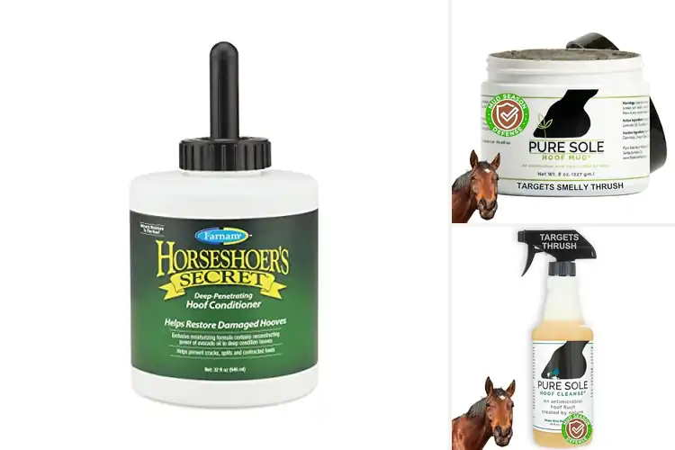Detailed view of Best Natural Hoof Care Products for Horses