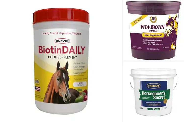 Detailed view of Best Natural Hoof Supplements