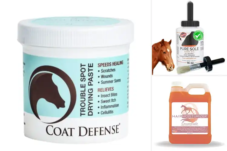 Detailed view of Best Natural Horse Care Products