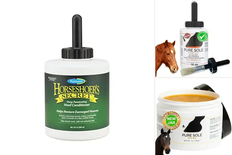 Detailed view of Best Natural Horse Hoof Care Products