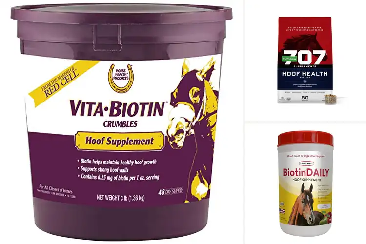 Detailed view of Best Natural Horse Supplements for Hoof Health