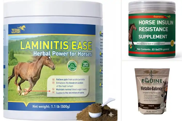 Detailed view of Best Natural Laminitis Supplement For Horses