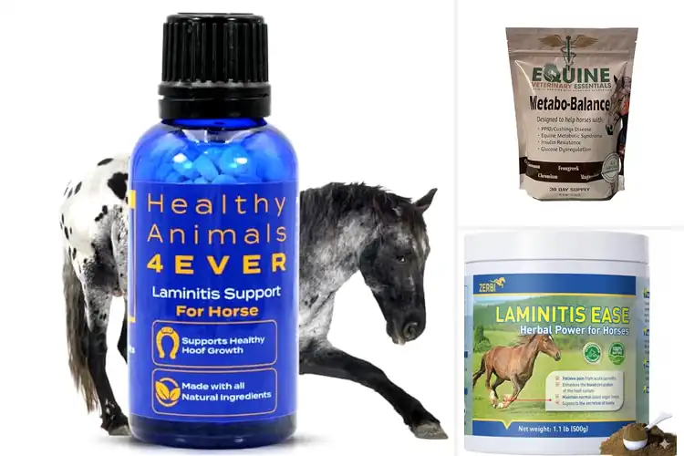 Detailed view of Best Natural Laminitis Supplement
