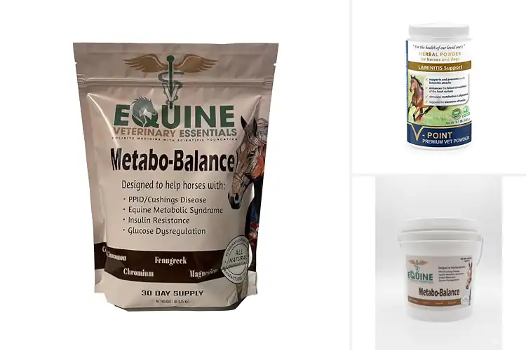 Detailed view of Best Natural Laminitis Support For Horses