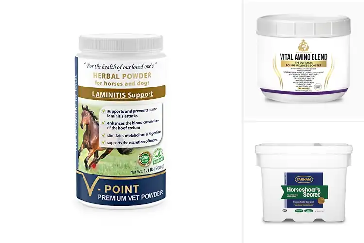 Detailed view of Best No Sugar No Salt Hoof Supplements For Horses