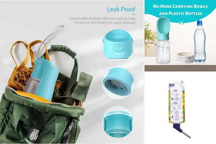 Detailed view of Best Pet Water Bottle: Top 10 Picks for Hydrated Pets