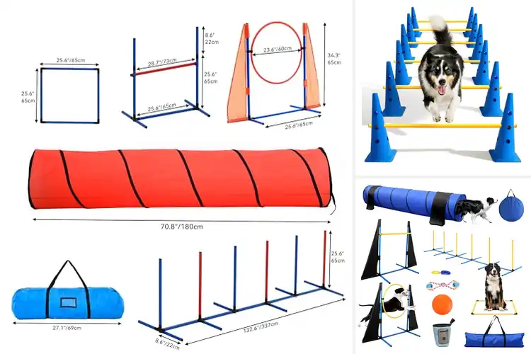 Detailed view of Best Safe Backyard Agility Equipment
