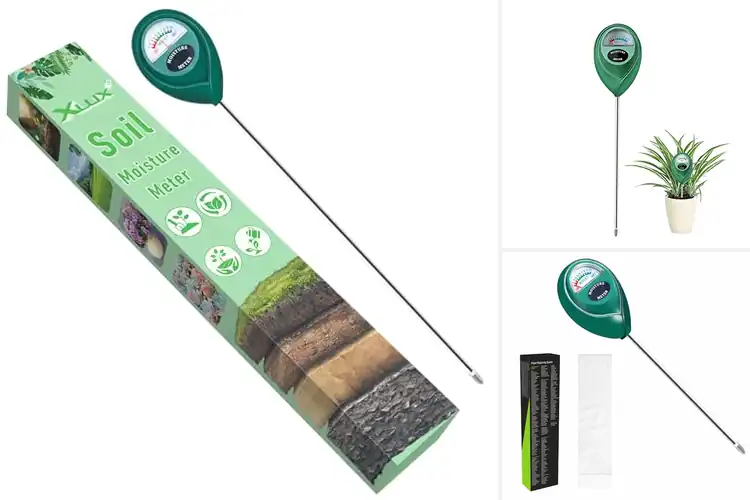 Detailed view of Best Soil Hygrometers
