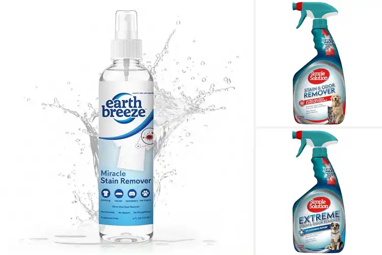 Detailed view of Best Stain Removal Solutions: 10 Easy Ways to Clean Up
