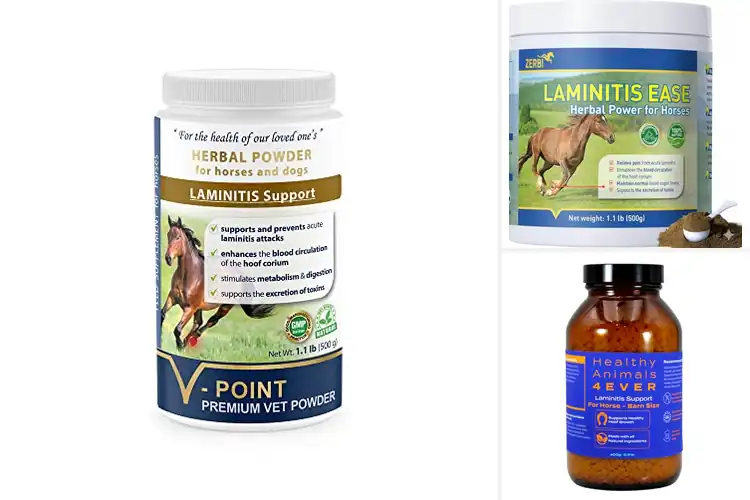 Detailed view of Best Starch Reduced Laminitis Hoof Supplements