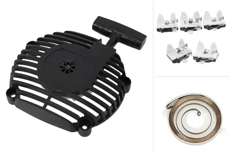 Detailed view of Best Starter Lifespan Extenders