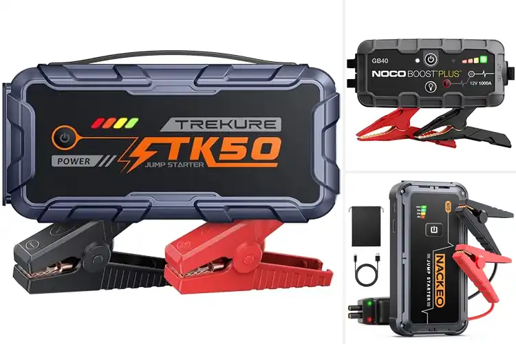 Detailed view of Best Starter Protection: Your Ultimate Guide to Safety