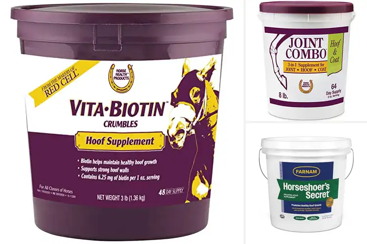 Detailed view of Best Supplements For Healthy Hooves