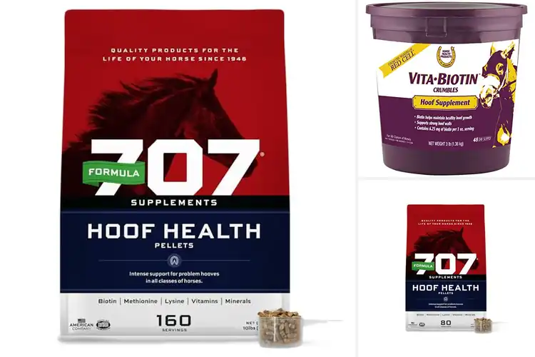 Detailed view of Best Supplements For Hoof Health