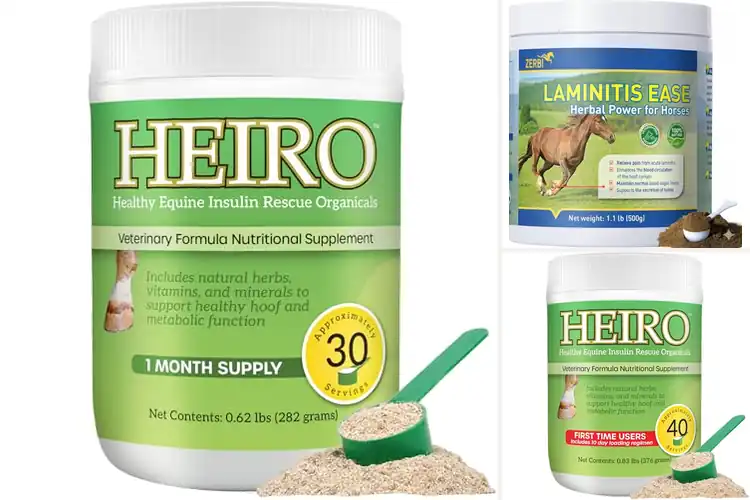 Detailed view of Best Supplements for Laminitis