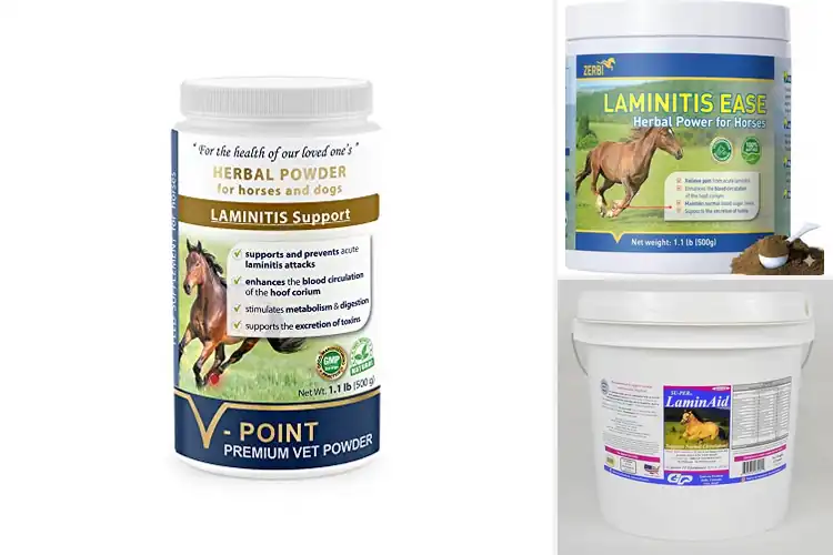 Detailed view of Best V-Point Laminitis Ease Hoof Supplements For Horses