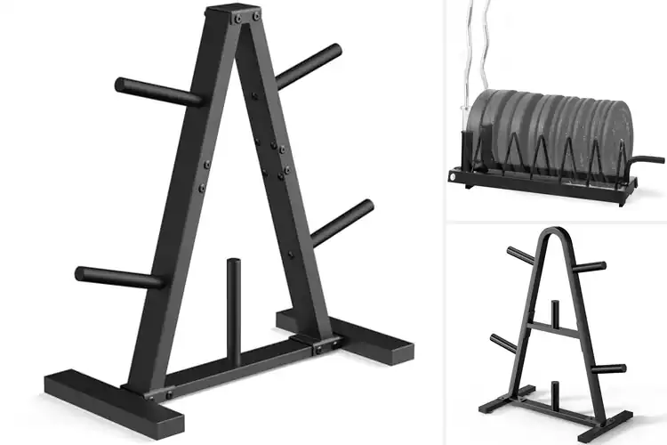 Detailed view of Best Weight Plate Storage Solutions